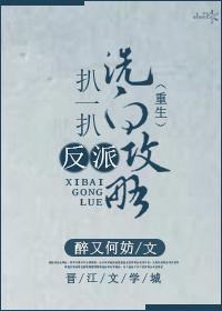 反派洗白攻略txt