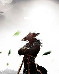 我夫郎是娇纵美人花晋江